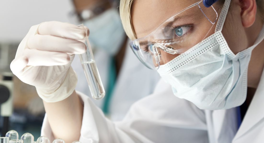 Exploration Biologique