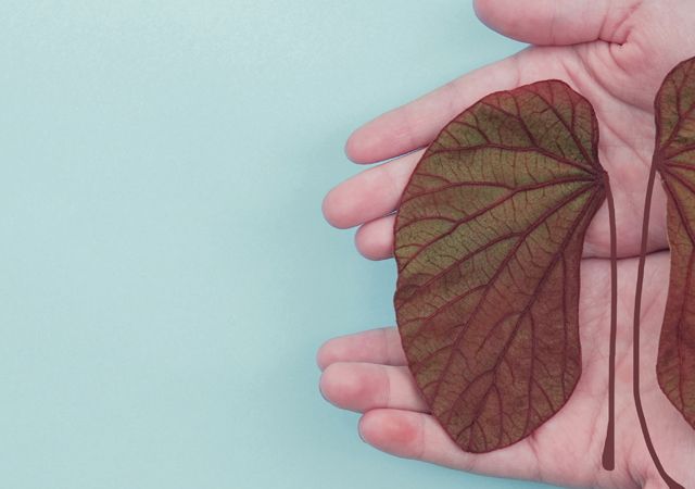 Pourquoi recourir à une néphrectomie ?