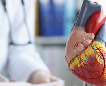 La cardiologie en Tunisie : le dossier complet
