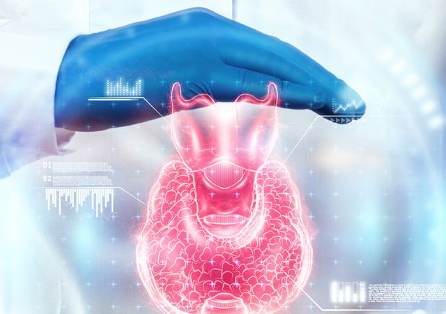 Tout savoir sur notre spécialité médicale endocrinologie et diabétologie à Tunis