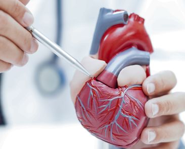 Tout Savoir sur la Chirurgie Valvulaire : Techniques, Risques et Récupération