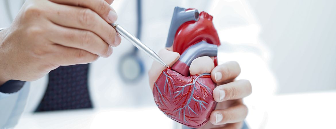 Tout Savoir sur la Chirurgie Valvulaire : Techniques, Risques et Récupération