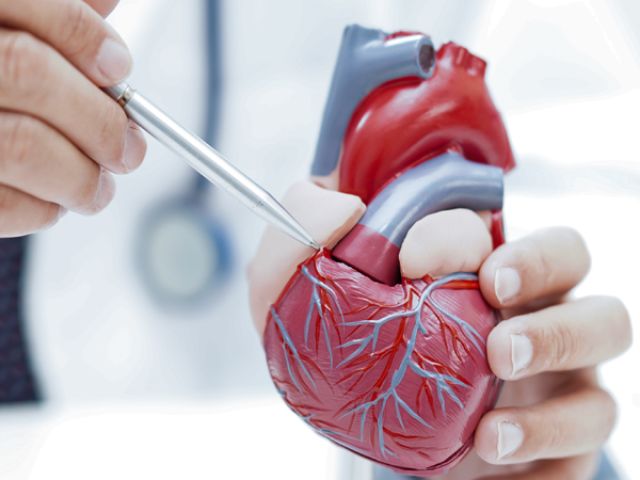Tout Savoir sur la Chirurgie Valvulaire : Techniques, Risques et Récupération