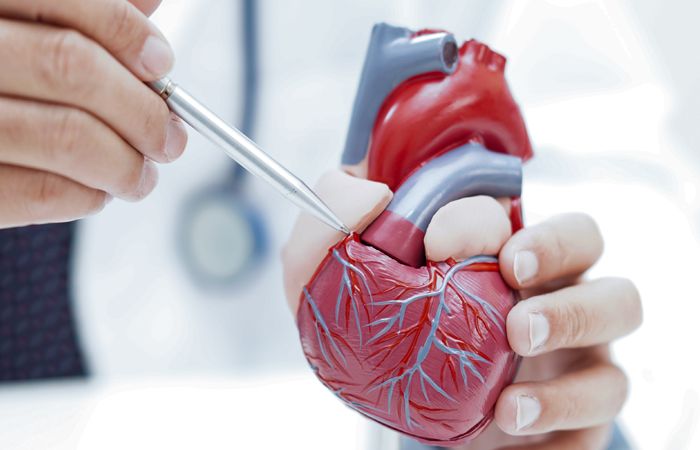 Tout Savoir sur la Chirurgie Valvulaire : Techniques, Risques et Récupération