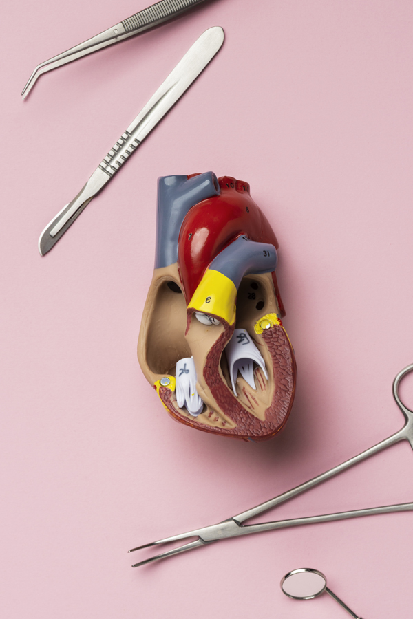 Tout Savoir sur la Chirurgie Valvulaire : Techniques, Risques et Récupération