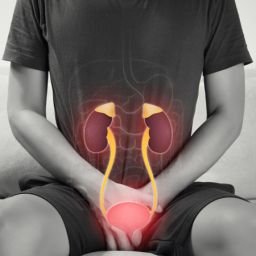 Comprendre les Troubles Urinaires dans la Maladie de Parkinson : Symptômes, Causes et Solutions