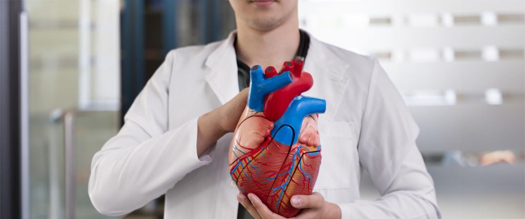 Tout Ce Que Vous Devez Savoir sur les Valvulopathies : Symptômes, Diagnostic et Traitements Efficaces