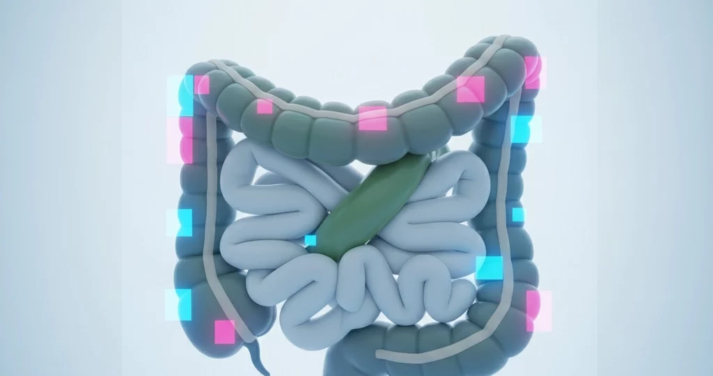 Volvulus : Comprendre cette Urgence Médicale - Symptômes, Traitements et Préventions à Connaître