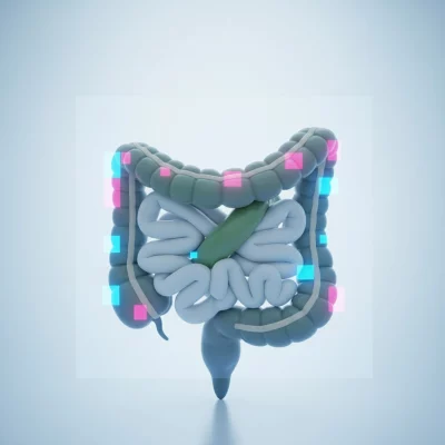 Volvulus : Comprendre cette Urgence Médicale - Symptômes, Traitements et Préventions à Connaître