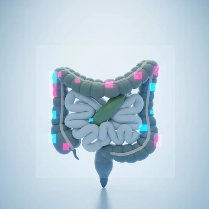 Volvulus : Comprendre cette Urgence Médicale - Symptômes, Traitements et Préventions à Connaître